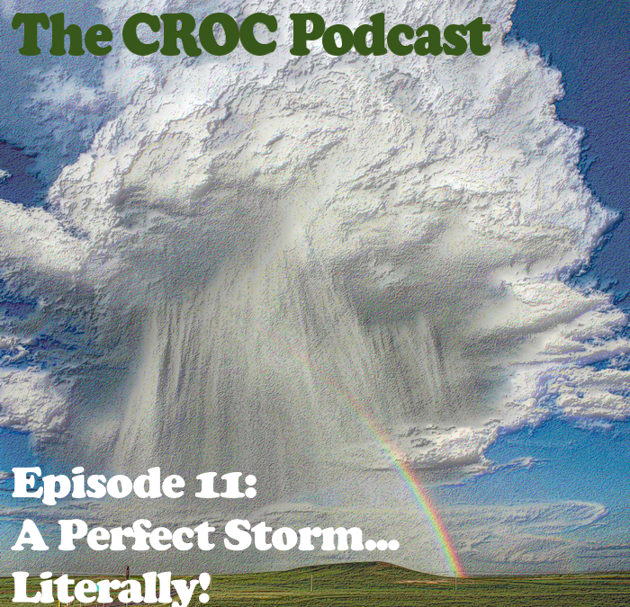 Ep11: A Perfect Storm… Literally!