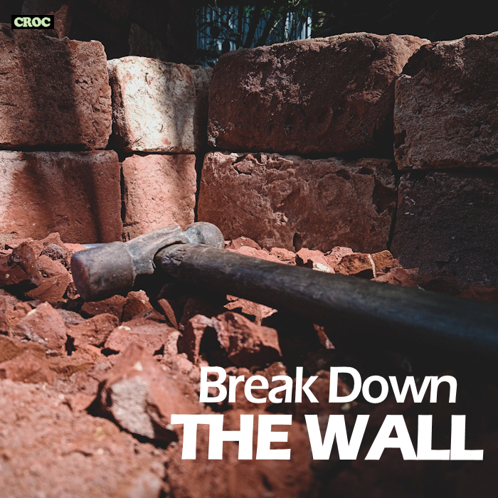 Break Down The Wall